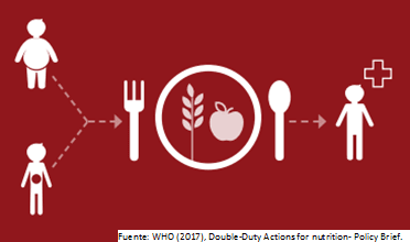 Addressing the double burden of malnutrition in Peru: using a community ...