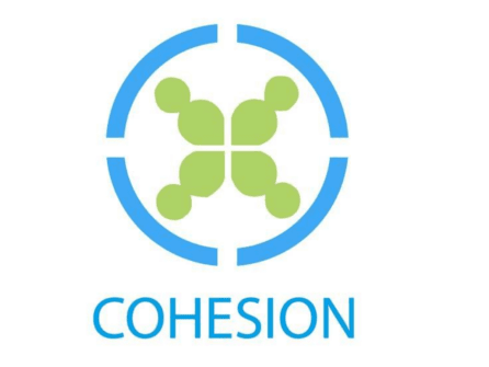 cohesion